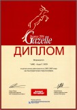 Диплом Газель бизнеса 2006